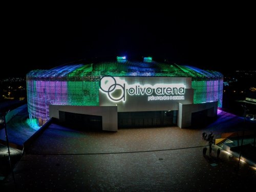 Olivo Arena 7
